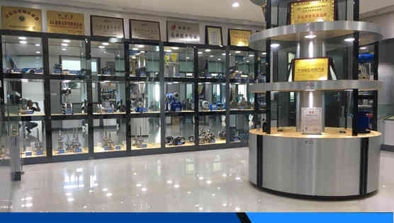 江蘇91抖音儀表（biǎo）集團有限公司（sī）