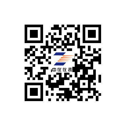 江蘇91抖音儀表（biǎo）集團有限公司