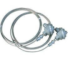 WRK鎧裝熱電（diàn）偶